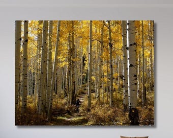 Birch Tree Forest Wall Art Canvas Print: Modern Wall Decor, Ready to Hang