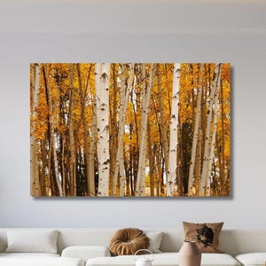 Canvasafdruk muurkunst berkenboom: minimalistische muurdecoratieposter bos