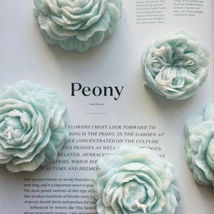 Scented Two-toned Peony Flower Candle