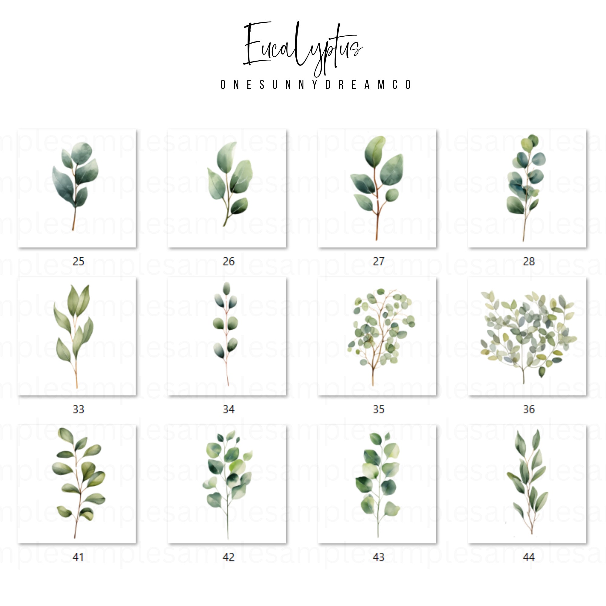 Watercolor Eucalyptus Clipart PNG Set 2, 48 Eucalyptus Greenery Clipart ...