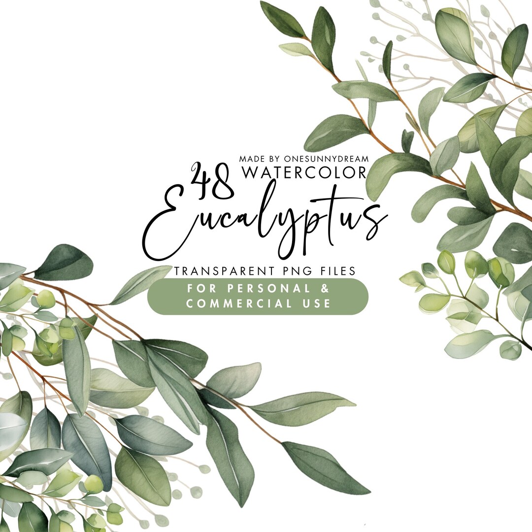 Watercolor Eucalyptus Clipart PNG Set 2, 48 Eucalyptus Greenery Clipart ...