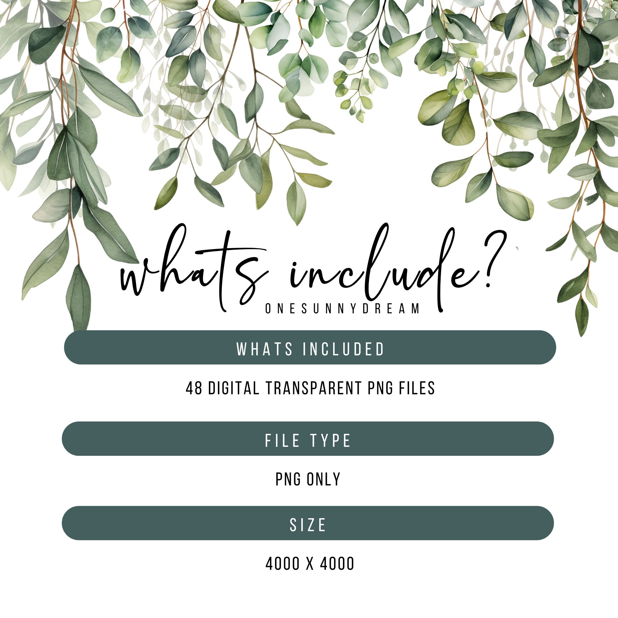 Watercolor Eucalyptus Clipart PNG Set 2, 48 Eucalyptus Greenery Clipart ...