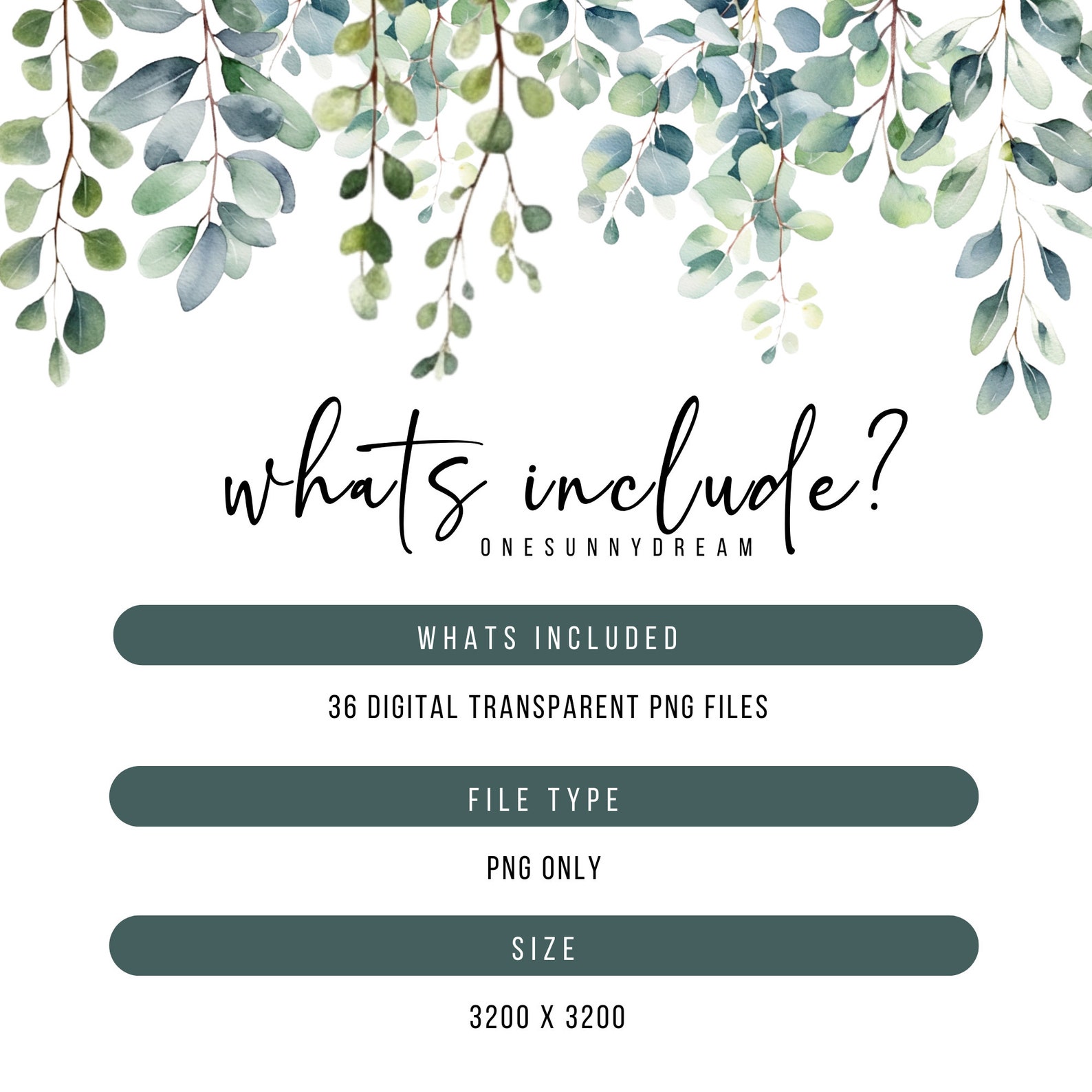 Watercolor Eucalyptus Clipart PNG Set, 36 Eucalyptus Greenery Clipart ...