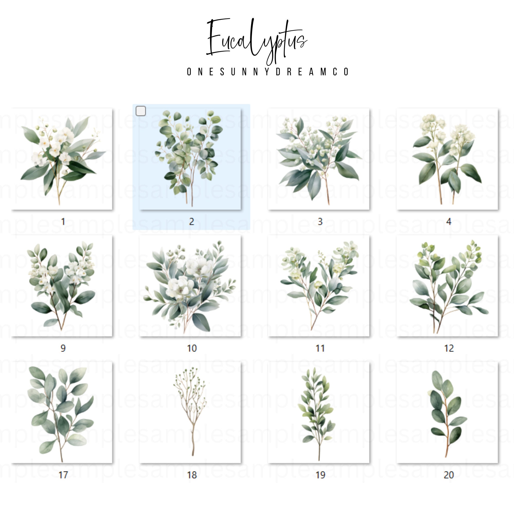 Watercolor Eucalyptus Clipart PNG Set 2, 48 Eucalyptus Greenery Clipart ...