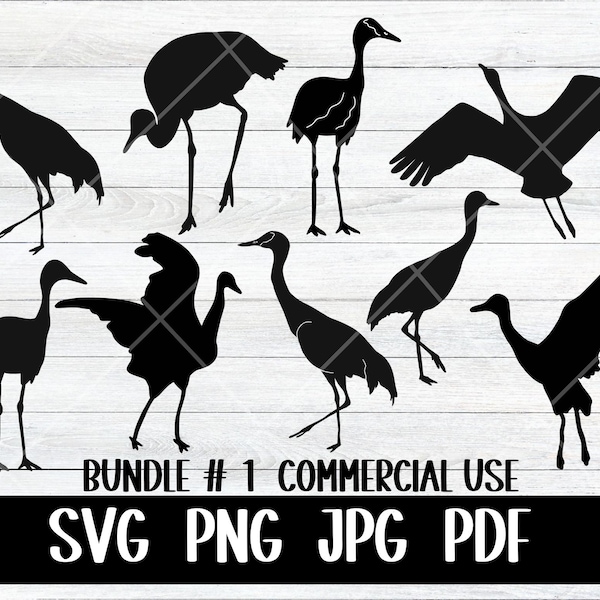 Sandhill Crane Bird SVG Bundle, Instant Download, PNG, JPG, pdf