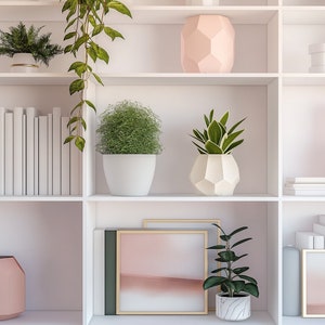 Pink Boho Chic Shelves Background | Home Shelving Background | Professional Virtual Background for Zoom/Microsoft Teams/Skype/Google Meet