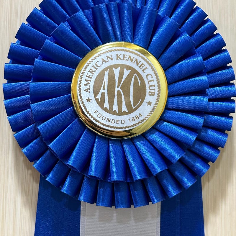 Custom Award Pin Ribbon - Etsy