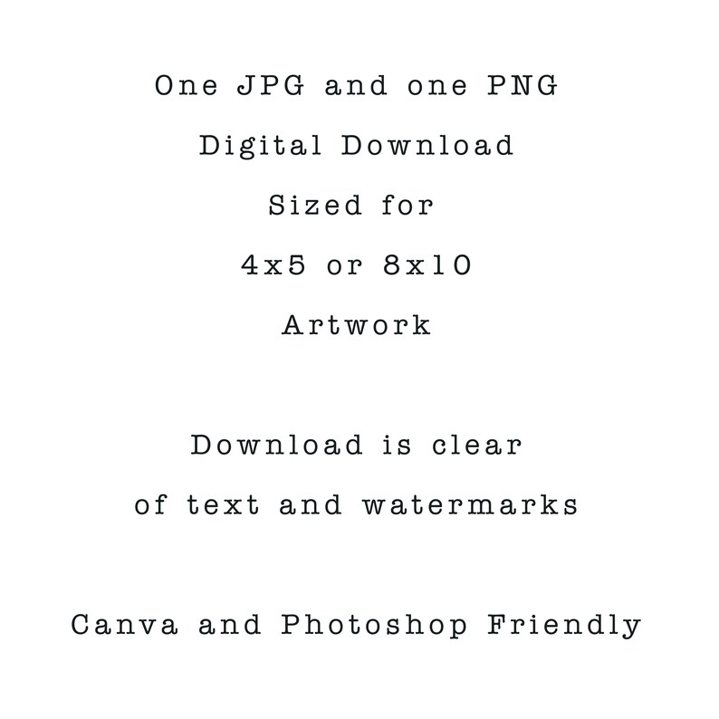 Scalloped Edges Frame Mockup Coquette Blue Bow Wall Art Mockup Canva