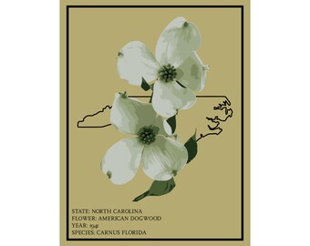 North Carolina Dogwood Flower Print: State Flower Poster