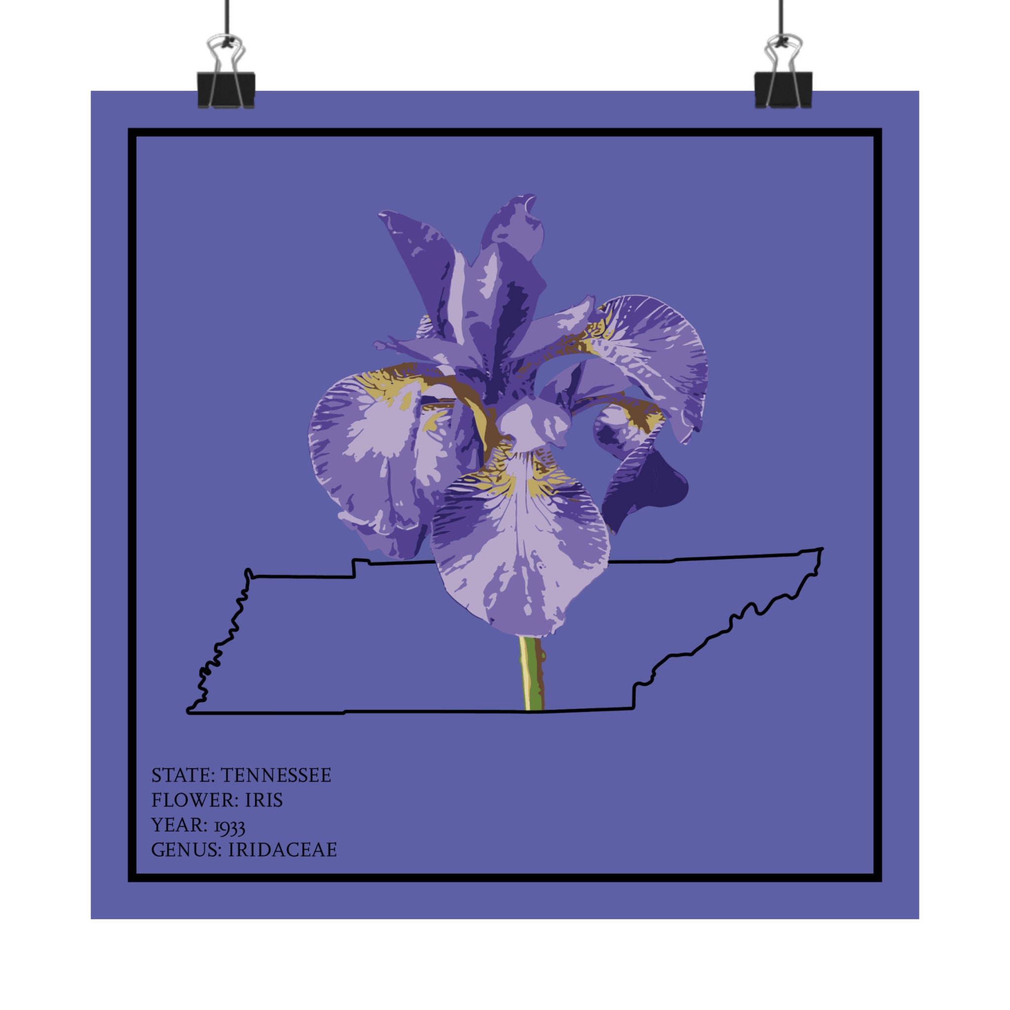 Tennessee Purple Iris Art Print: State Flower Poster - Etsy