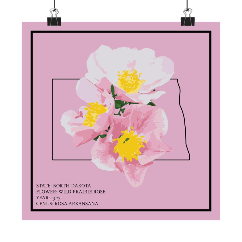 North Dakota Prairie Rose Art Print: State Flower Poster - Etsy