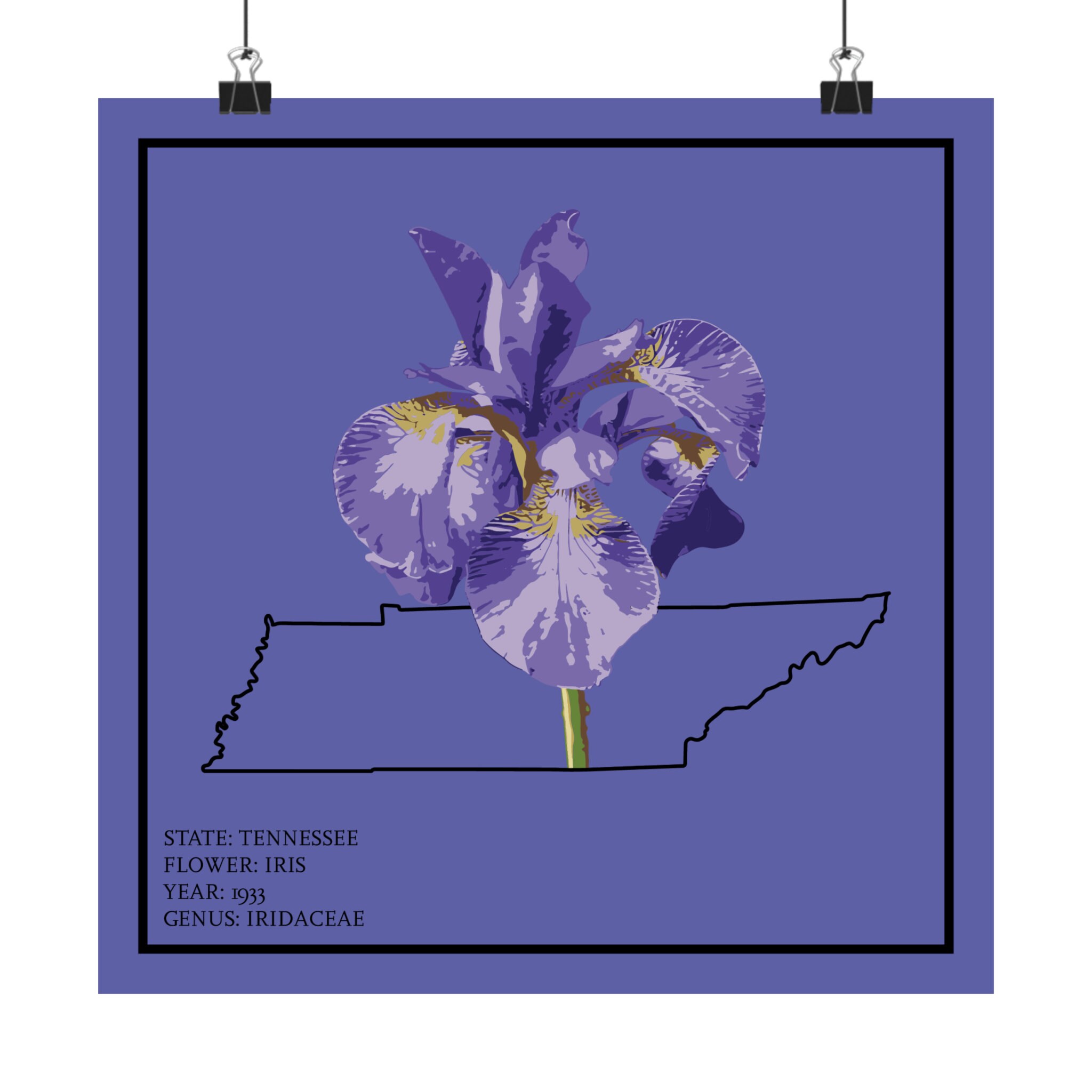 ENGLISH・IRIS  KENPERRY  ヴィンテージポスター Tennessee Purple Iris Art Print: State Flower Poster - Etsy
