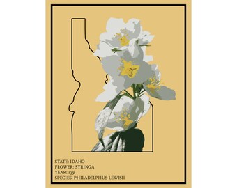 Kwiat lilaka w Idaho: plakat z kwiatem stanowym