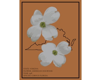 Virginia Dogwood Flower Print: State Flower Art Poster