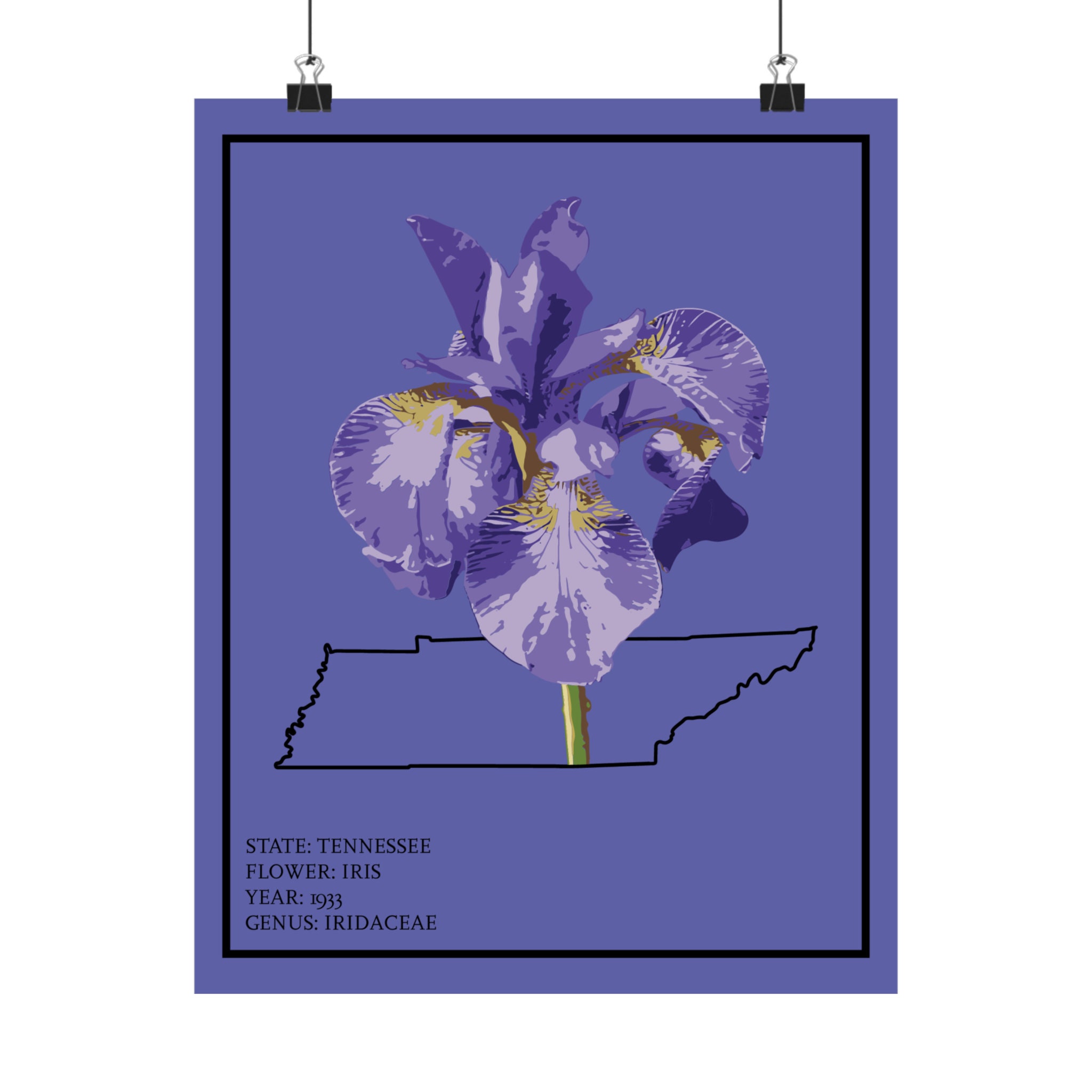 絵画  アイリス  パープル 金箔画 SALE‼️ Tennessee Purple Iris Art Print: State Flower Poster - Etsy