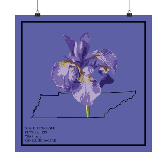 Tennessee Purple Iris Art Print: State Flower Poster - Etsy