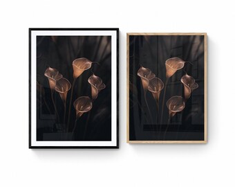 May include: A framed print of a dark background with a cluster of brown calla lilies.