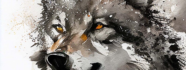Printable | Fierce Gray Wolf | Watercolor &amp; Ink | Digital Download ...