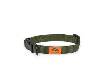 Park Dog Collar