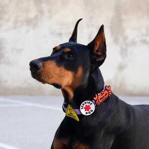 Service Dog Jiby Dog Charm image 2