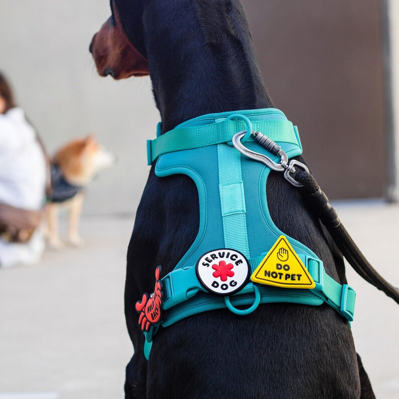 Service Dog Jiby Dog Charm image 3
