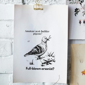 Funny Pigeon Art Print – &quot;Amateur Nest Builder or Professional Arsonist?&quot; – Digital Download A4 – Whimsical Bird Poster – Printable Wall Art