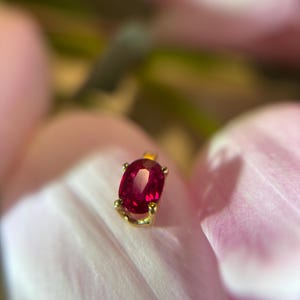 Peut inclure: Un pendentif en or orné d'un rubis ovale d'un rouge vif. Le rubis, d'un rouge profond, est serti dans un délicat sertissage en or. Le pendentif est présenté sur un fond rose tendre, peut-être un pétale de fleur.