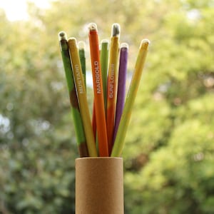 30 lápices de plástico apilables, lápices apilables en forma de oso para  niños, lápices de punto 5 en 1 para suministros de fiesta de cumpleaños
