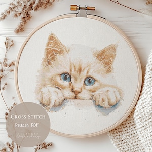 Patrón de punto de cruz con lindo gato rojo / Diseños de bordado PDF / Diseños de punto de cruz de gatos modernos / Patrón de punto de cruz digital / 156