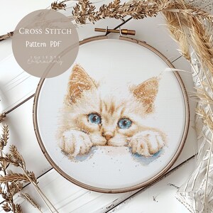 Patrón de punto de cruz con lindo gato rojo / Diseños de bordado PDF / Diseños de punto de cruz de gatos modernos / Patrón de punto de cruz digital / 156