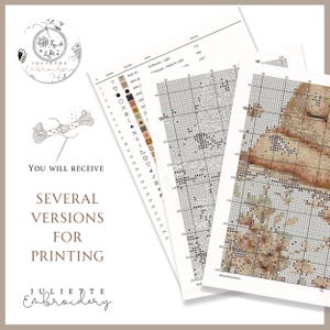 May include: A cross-stitch pattern document featuring a color key with symbols and DMC thread numbers, alongside a grid-based design chart. The text reads: You will receive several versions for printing, Juliette Embroidery.