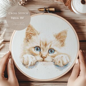 Patrón de punto de cruz con lindo gato rojo / Diseños de bordado PDF / Diseños de punto de cruz de gatos modernos / Patrón de punto de cruz digital / 156