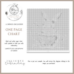 May include: A black and white embroidery pattern chart on a grid, featuring a rabbit outline with symbols. Text includes A BONUS INCLUDED ONE PAGE CHART, Black and white page chart with symbols to help you with embroidery, and Juliette Embroidery.