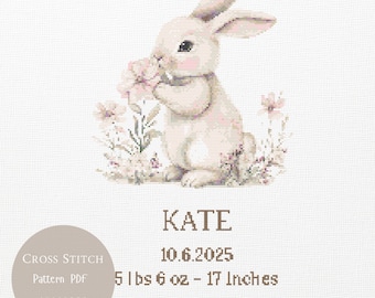 Pink Rabbit Personalized Baby Birth Announcement Cross Stitch Pattern, Custom Newborn Stats Embroidery, Baby Shower,Nursery Decor PDF | 358