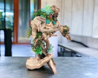 Driftwood with faux succulents art/decor | CUSTOM DESIGN | Driftwood centerpiece