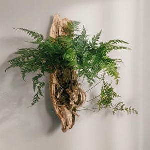 Op de afbeelding: Een set van drie keramische mokken met een gespikkelde, matte afwerking. De mokken zijn in de kleuren crème, lichtbruin en donkerbruin. Elke mok heeft een eenvoudig, minimalistisch ontwerp, perfect voor koffie of thee.
