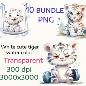 White tiger bundle, Watercolor cub clipart, digital illustration, cute Animal Antics, POD PNE clipart, Instant Download, free commercial use