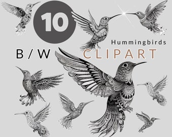 Hummingbird Clipart Set Bird Black White Images for Scrapbooking Cliparts Invitations Designs Social Media