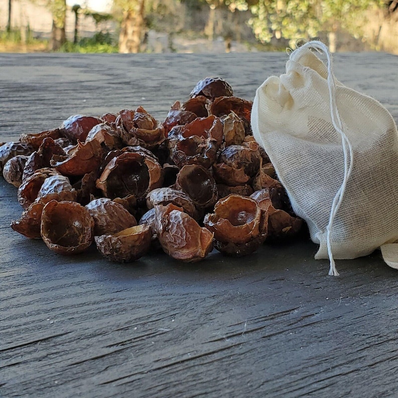 May include: A pile of brown soap nuts, also known as soapberries, are scattered on a wooden surface. A white muslin bag is lying next to the soap nuts.