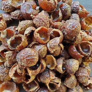 May include: A close-up view of a pile of brown soap nuts. The nuts are dried and ready to be used for laundry.