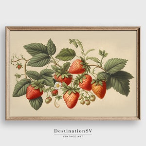 Vintage Strawberry Botanical Sketch, Muted Vintage Strawberry Art Print, Vintage Strawberry Wall Art, Digital Downloadable PRINTABLE - 361