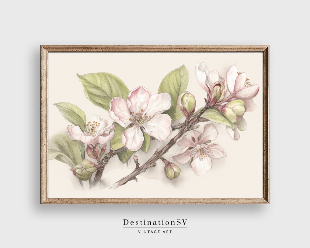 Vintage Apple Blossom Botanical Print, Farmhouse Kitchen Art (digital ...