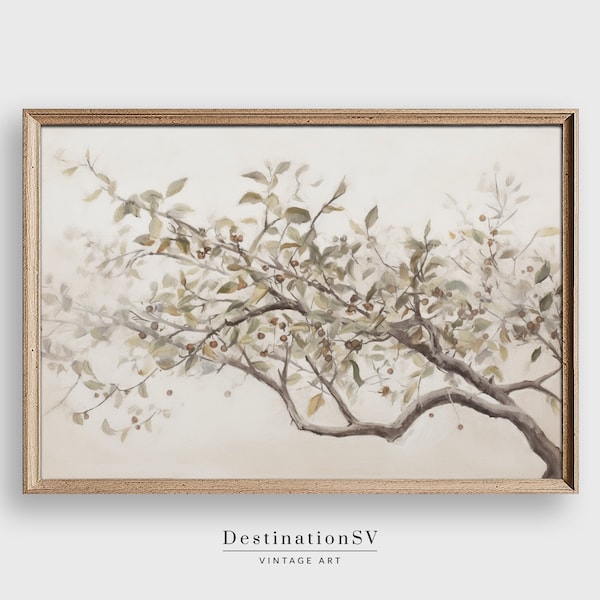 Vintage Olive Tree Sketch, Botanical Print, Digital Printable, Vintage Farmhouse Kitchen Art Print - 107