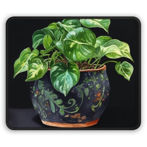 Puede incluir: Una planta en maceta con hojas verdes variegadas en una maceta de cerámica con estampado azul oscuro y verde. La maceta tiene un borde marrón y está sobre una superficie negra.