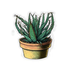 Aloe sticker, Gardener, Aloe, Aloe lover, Sticker, Laptop sticker, Phone sticker, Funny sticker, Aloe Vera, Plant sticker, Plants, Outdoors