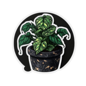 Pothos sticker, Gardener, Pothos, Plant lover, Sticker, Laptop sticker, Phone sticker, Cute sticker, Plant sticker, Plants, Outdoors, Garden
