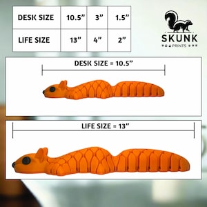 May include: Orange desk and life-size squirrel toys. The desk-size toy is 10.5 inches long, 3 inches wide, and 1.5 inches high. The life-size toy is 13 inches long, 4 inches wide, and 2 inches high. The Skunk Prints logo is in the upper right corner.