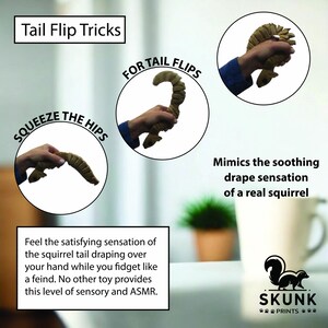 May include: An image showing a squirrel tail-shaped toy in various hand positions, with text that reads "Tail Flip Tricks." The toy is a light brown color. The text also says "Mimics the soothing drape sensation of a real squirrel."