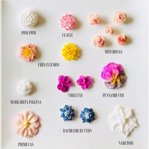 Online Course Flowers with Mango - Step-by-Step Tutorial