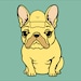 The Grumpy Pet